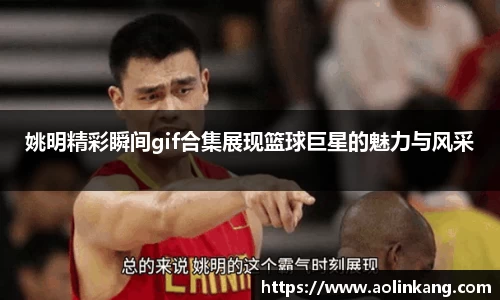 姚明精彩瞬间gif合集展现篮球巨星的魅力与风采