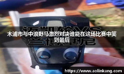 木浦市与中浪野马激烈对决谁能在这场比赛中笑到最后